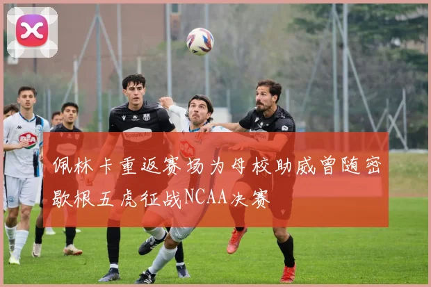 佩林卡重返赛场为母校助威曾随密歇根五虎征战NCAA决赛